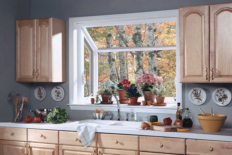 plants in the window